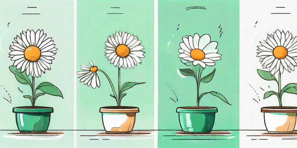 A sequence showing a seed being planted in a pot